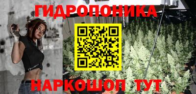 ECSTASY Туймазы