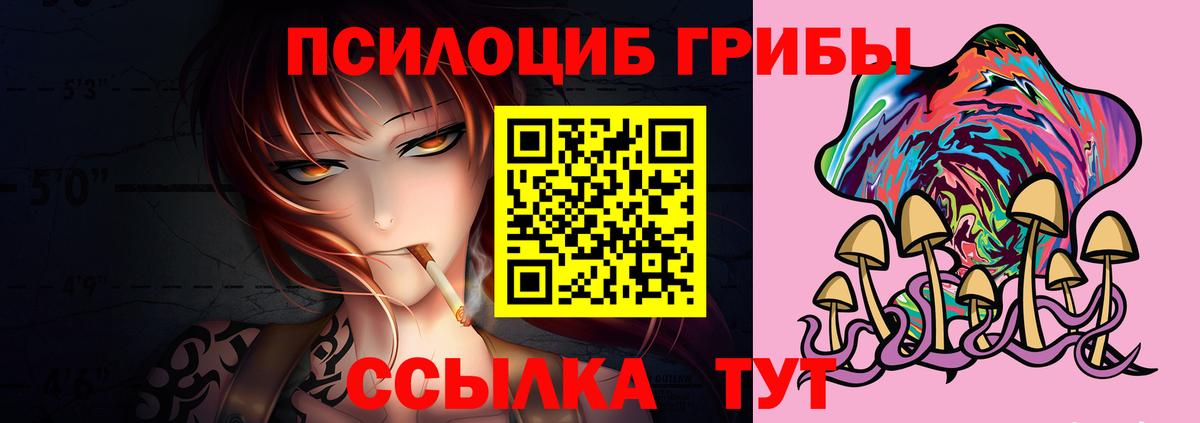 Томск  Псилоцибиновые грибы Cubensis  Вход с VPN 
